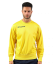 barva žlutá 0007 barva žlutá 0007