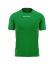 barva zelená 0013