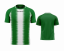 fotbalový dres givova Stripe - Barva dresu: zelená/bílá 1303, Velikost: XL