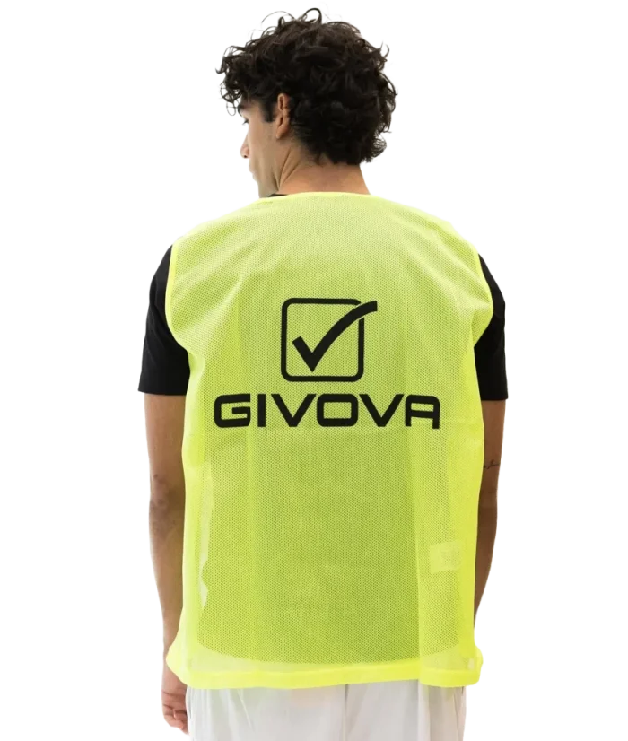 barva žlutá 0007