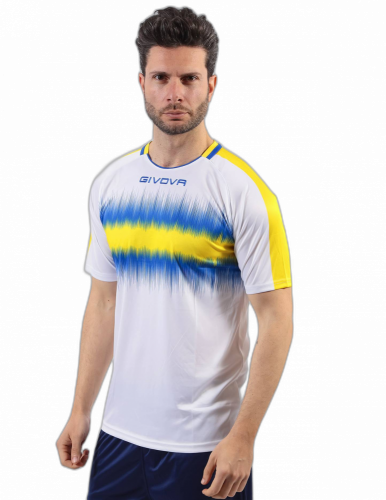 sada 15 fotbalových dresů givova Radio - Barva dresu: tmavě modrá/žlutá 0407, Velikost: L