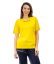 barva žlutá 0007 barva žlutá 0007