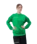 barva zelená 0013