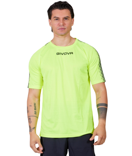 barva reflexně žlutá + černá 1910