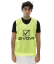 barva žlutá 0007
